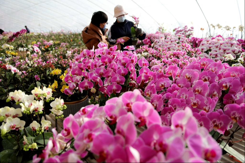PIB de China supera los 17 billones de dólares en 2021